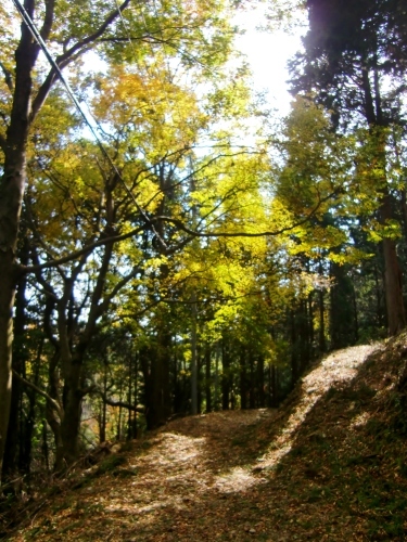 c0219820_23164828.jpg