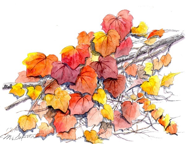 ツタの紅葉 絵日記 ツタの紅葉 絵日記