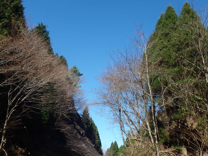 f0193521_1331161.jpg
