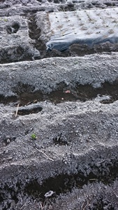 f0379722_22024227.jpg