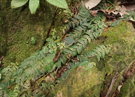 d0150727_17460126.jpg