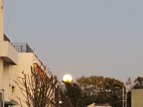 e0016828_10252316.jpg