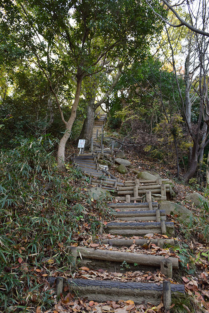 太平記を歩く。 その164 「飯盛山城跡」 大阪府大東市_e0158128_17290249.jpg