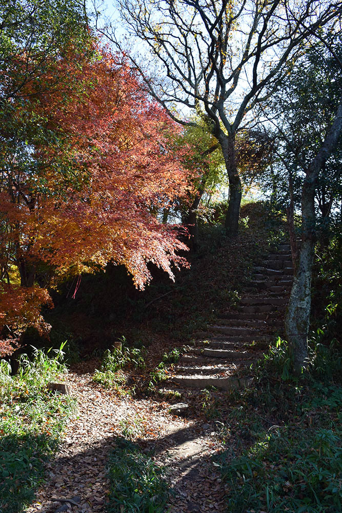 太平記を歩く。 その164 「飯盛山城跡」 大阪府大東市_e0158128_17454016.jpg