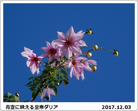 e0033229_185795.jpg