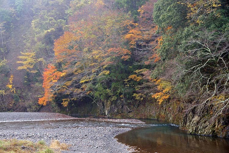 川辺の紅葉_d0147530_11270523.jpg