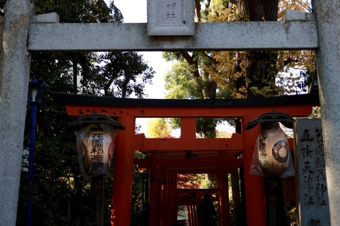 谷根千散歩 part 1_f0348831_00161186.jpg