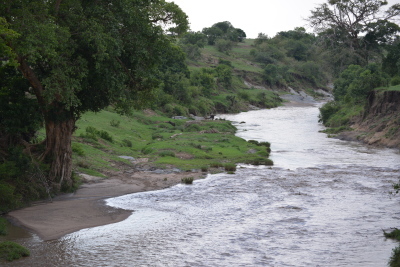 a0124132_19180577.jpg