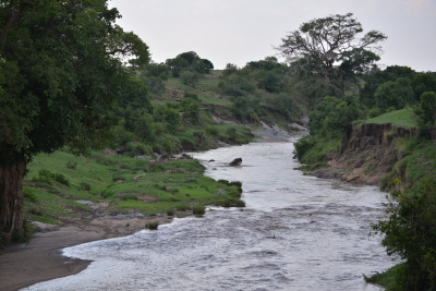 a0124132_19185609.jpg