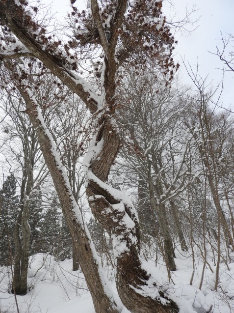 f0118332_00282719.jpg