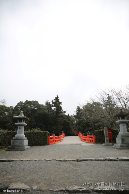 d0140234_19545109.jpg