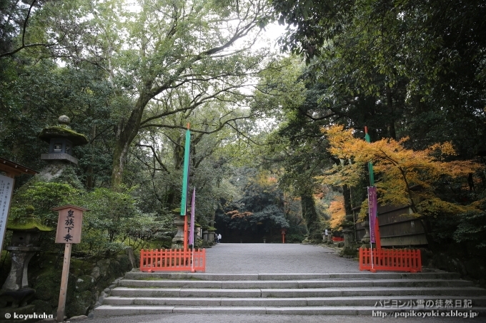 d0140234_19551932.jpg