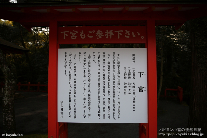 d0140234_20315189.jpg