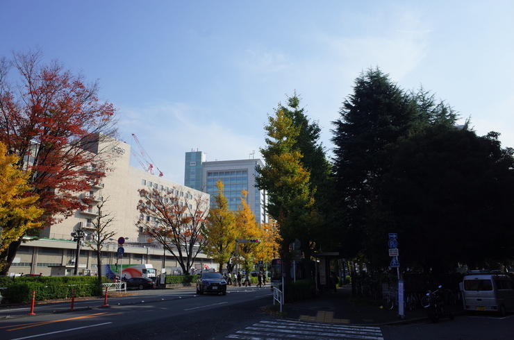 a0287336_103835.jpg