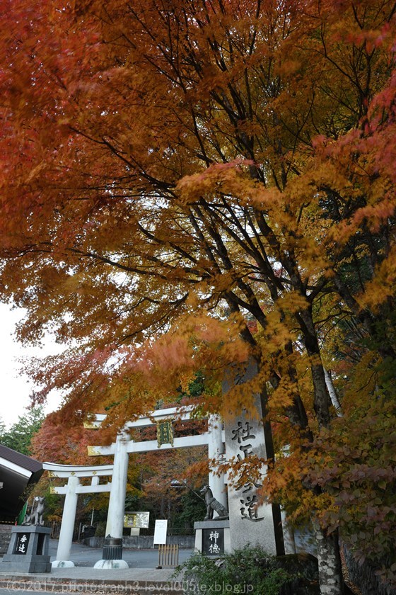 e0362037_23331975.jpg