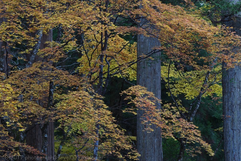 e0362037_23335689.jpg
