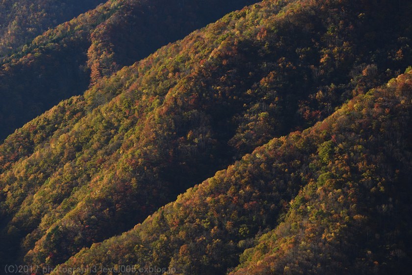 e0362037_23342411.jpg