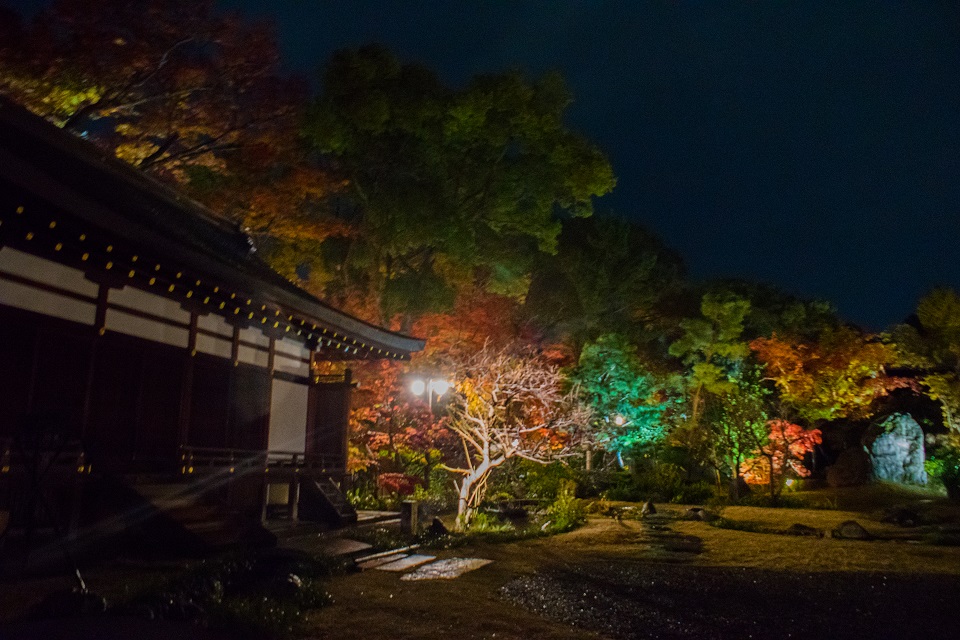 ２０１７京都紅葉～北野天満宮・もみじ苑_e0363038_10211525.jpg