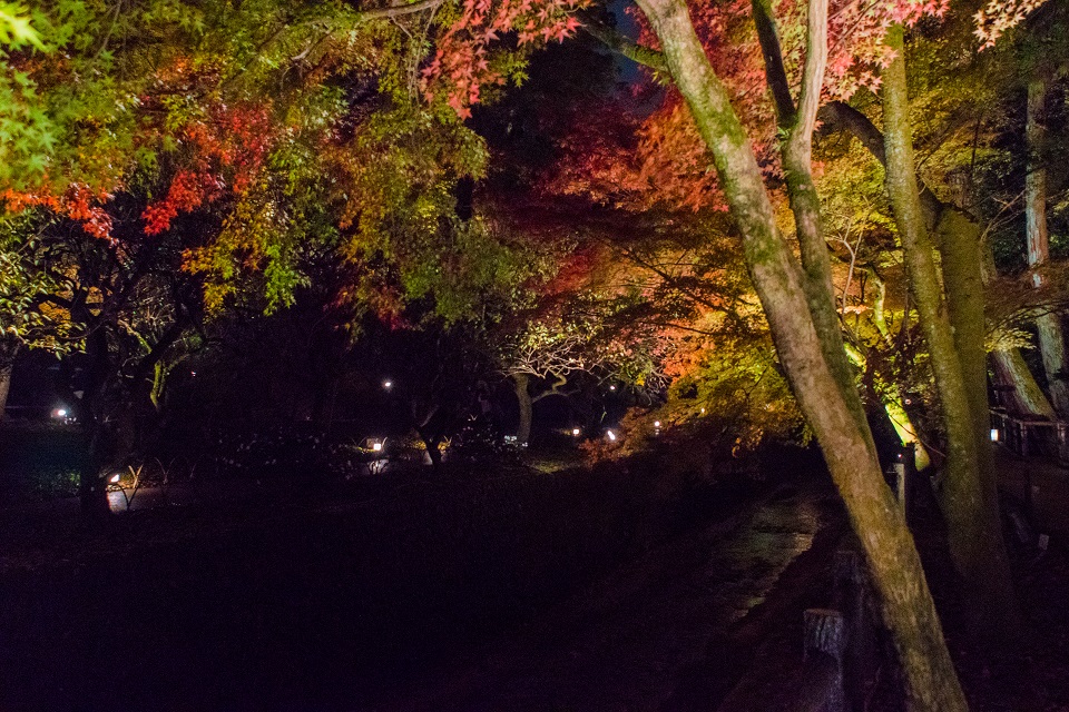 ２０１７京都紅葉～北野天満宮・もみじ苑_e0363038_10212057.jpg