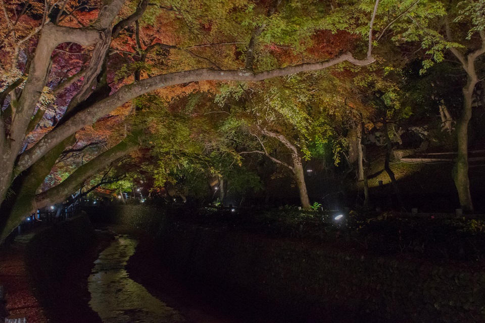 ２０１７京都紅葉～北野天満宮・もみじ苑_e0363038_10212473.jpg