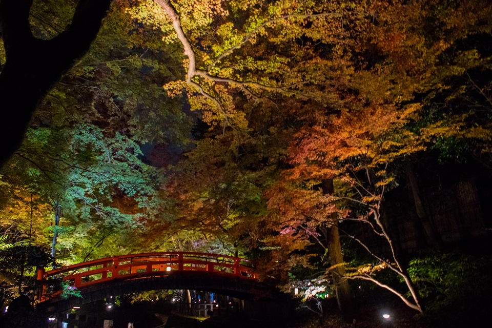 ２０１７京都紅葉～北野天満宮・もみじ苑_e0363038_10213435.jpg