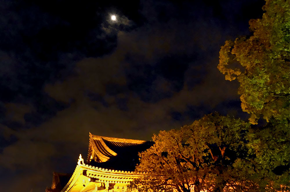 d0357639_14282743.jpg