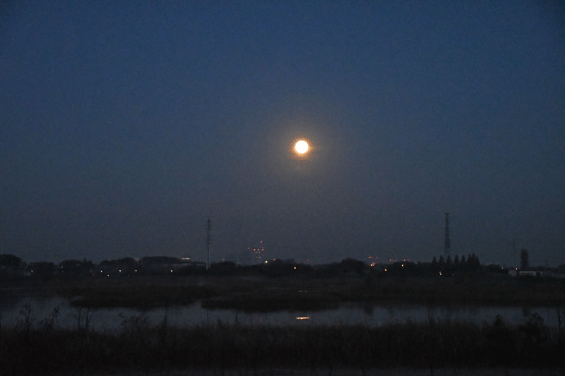 d0290240_14161007.gif