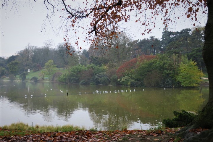 e0300042_19520160.jpg
