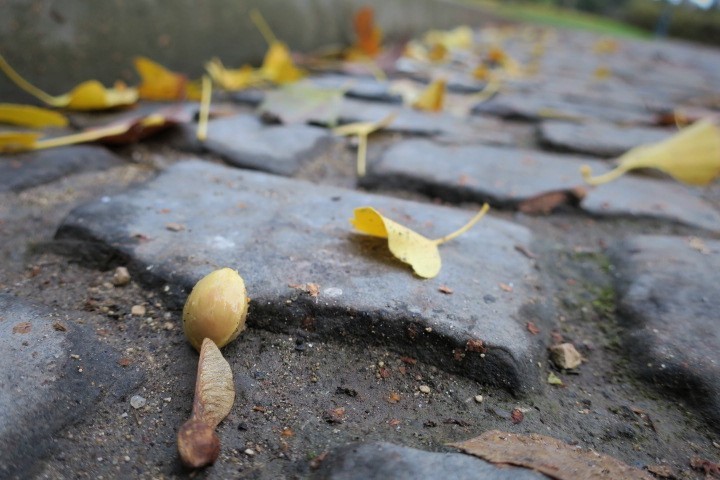 e0300042_20405171.jpg