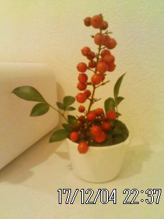 c0247346_22384016.jpg