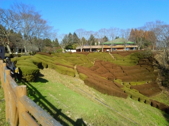 a0315448_08221069.jpg