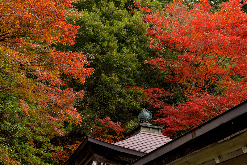 京都の紅葉2017 常照皇寺・山寺の秋_f0155048_003831.jpg