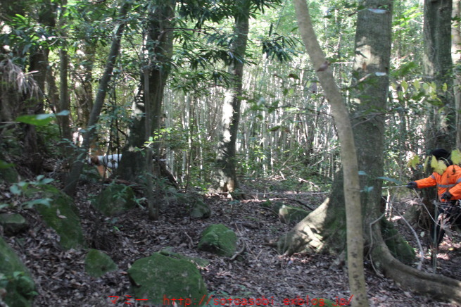 d0105749_13373184.jpg