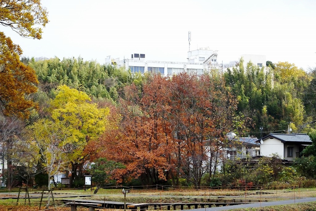 b0236251_11052820.jpg
