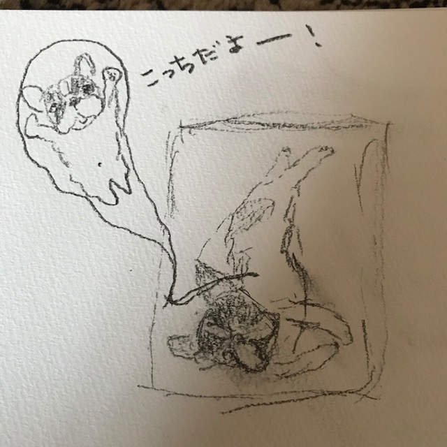 b0307951_21110950.png