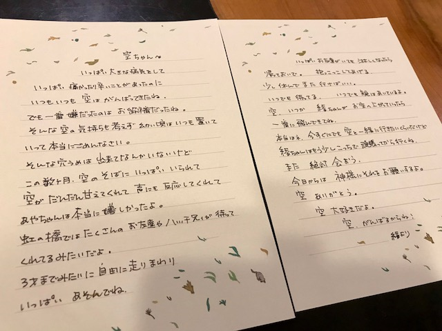 b0307951_21233853.png