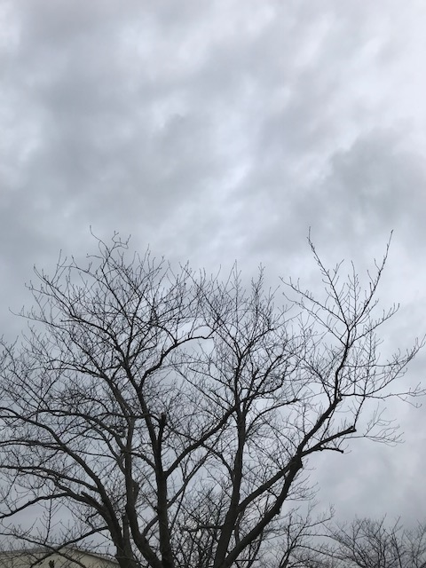 b0307951_21514143.png