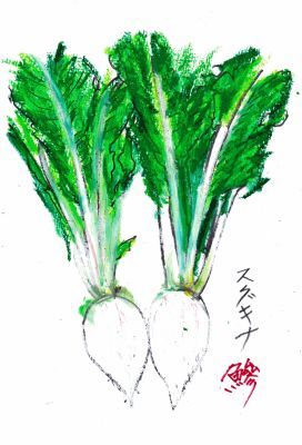 スグキナ/野菜主義_b0355451_07495557.jpg