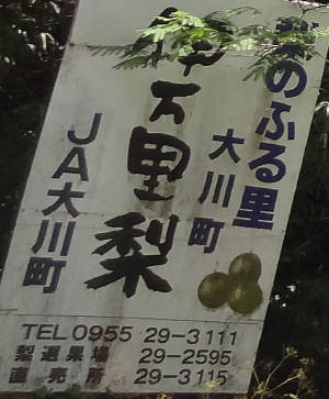 e0033751_18285858.jpg