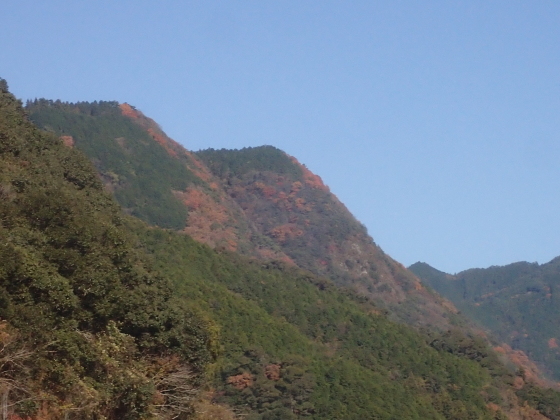 d0171959_20332456.jpg