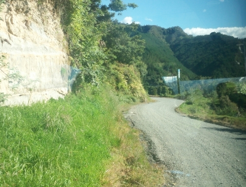 c0351060_07271944.jpg