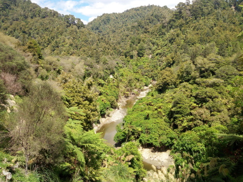 c0351060_11385005.jpg