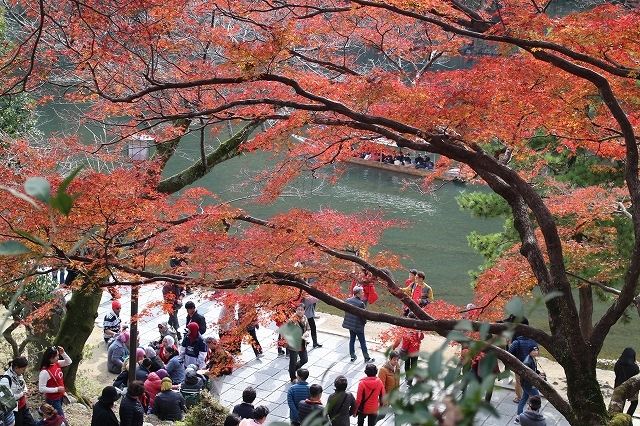 b0044663_16075392.jpg
