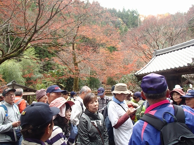 秋の基地Ｗ「鷹峯・光悦村を訪ねて」_b0044663_16383960.jpg