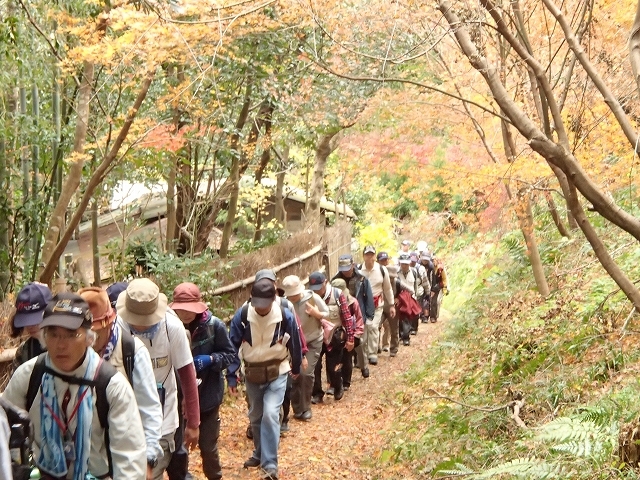 秋の基地Ｗ「鷹峯・光悦村を訪ねて」_b0044663_16401659.jpg