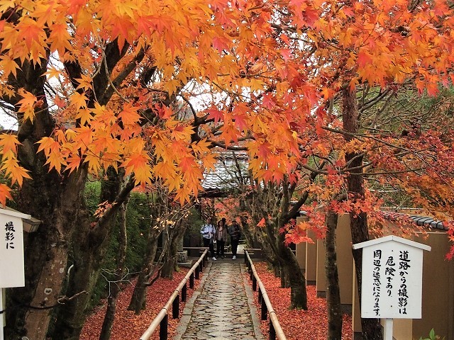 秋の基地Ｗ「鷹峯・光悦村を訪ねて」_b0044663_16410464.jpg