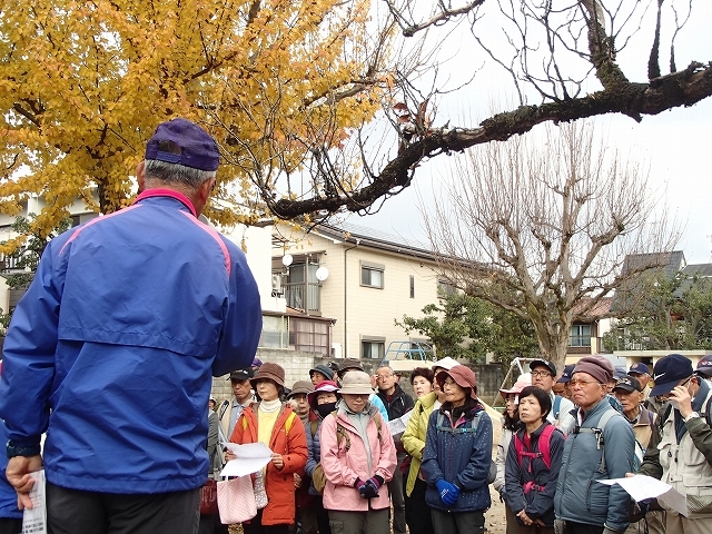 秋の基地Ｗ「鷹峯・光悦村を訪ねて」_b0044663_16432296.jpg