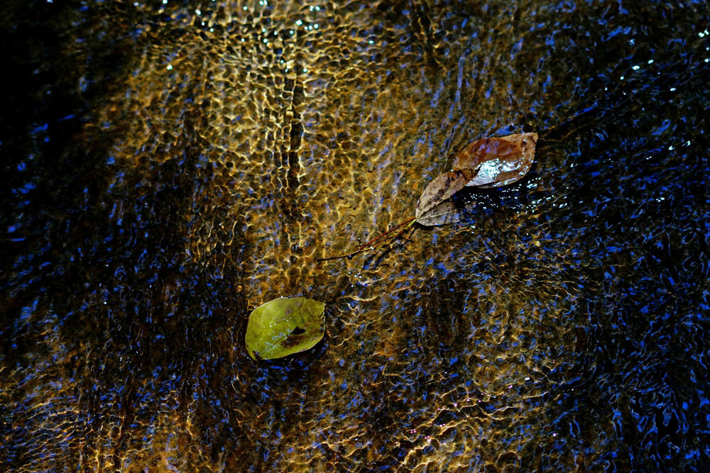 e0019563_11335327.jpg
