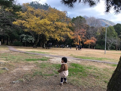 出雲大社　神在祭①_e0177863_11210158.jpg