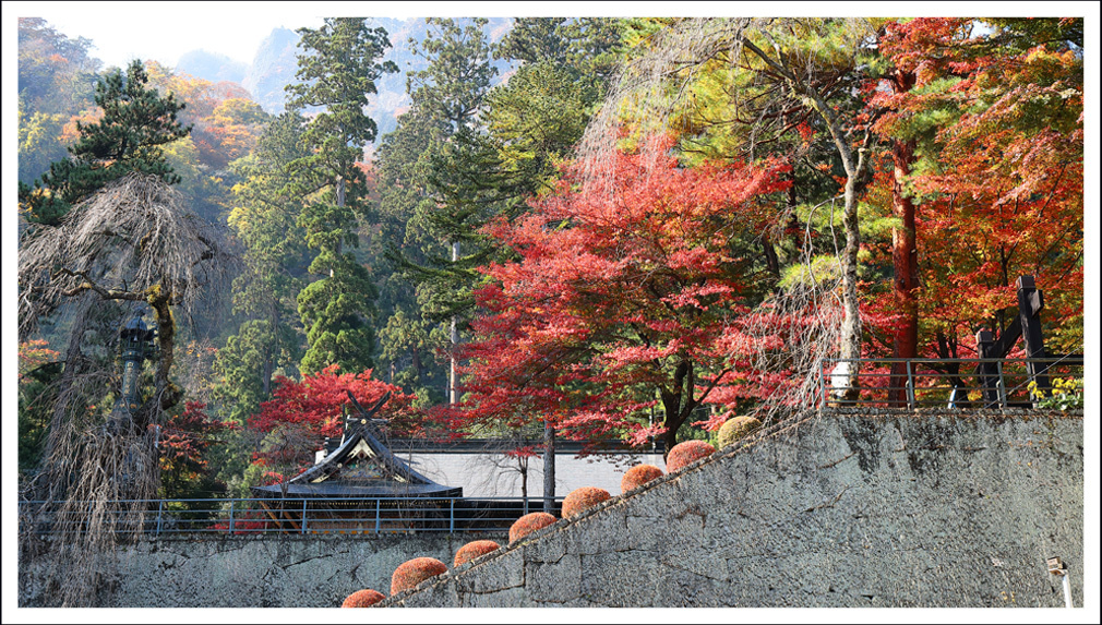 由緒ある神社＾＾_a0333665_20234532.jpg